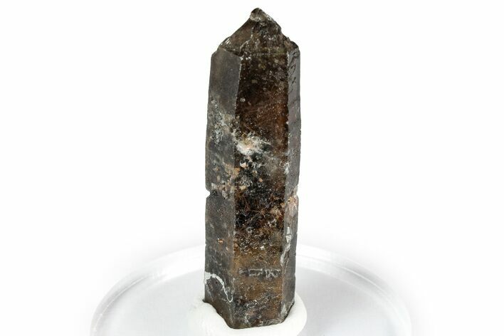 Smoky Quartz Crystal with Black Aegirine Inclusions - Malawi #348756